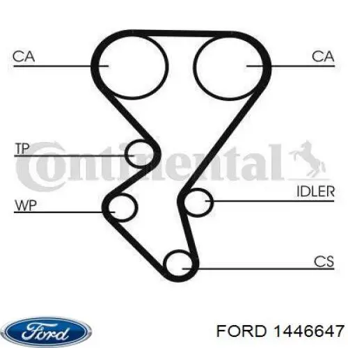 Correa distribucion Ford Fiesta JH, JD