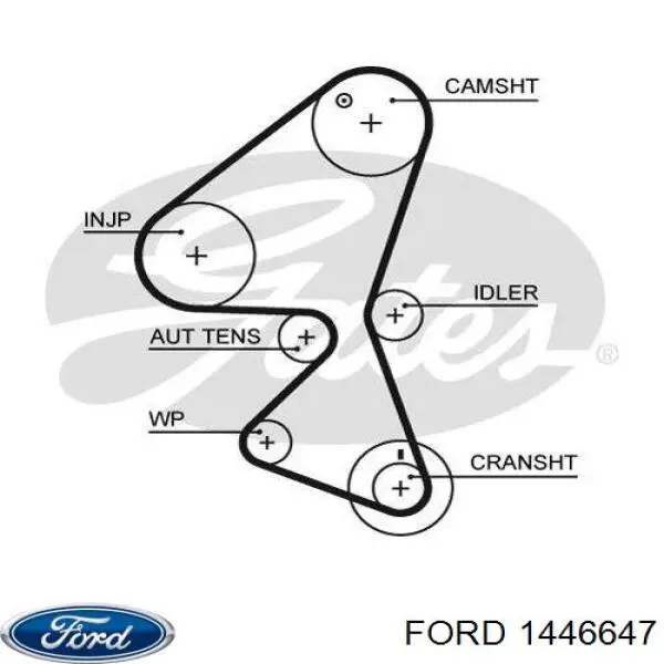 Correa distribucion Ford Fiesta JH, JD