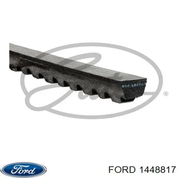 1448817 Ford correa trapezoidal