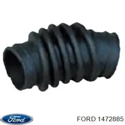 Tubo flexible de aspiración, filtro de aire (entrada) para Ford Focus (DAW)