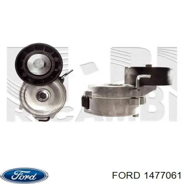 1477061 Ford tensor de correa, correa poli v