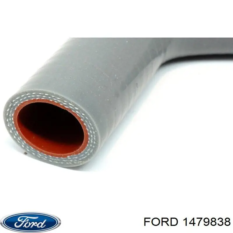  Ford 1479838