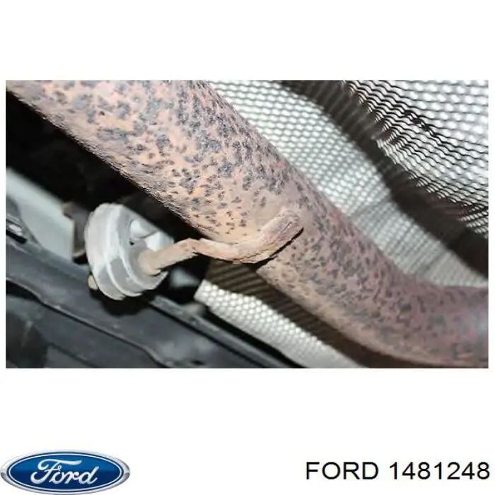 1481248 Ford Silenciador central