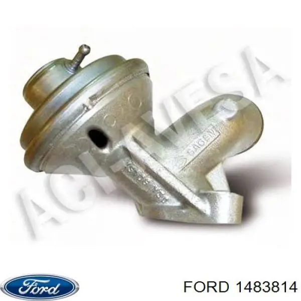 1483814 Ford válvula egr