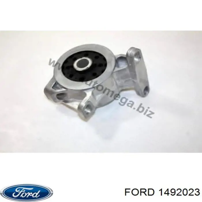 Paso de rueda trasera, derecho para Ford Focus (DA)