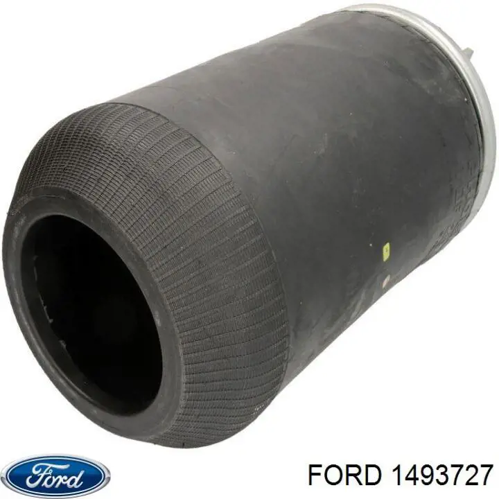 1493733 Ford