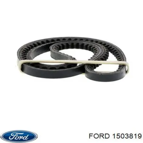 1503819 Ford correa trapezoidal