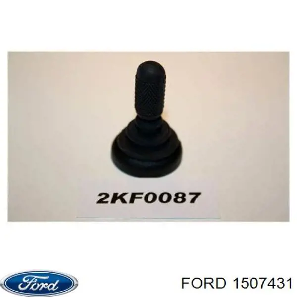 1507431 Ford