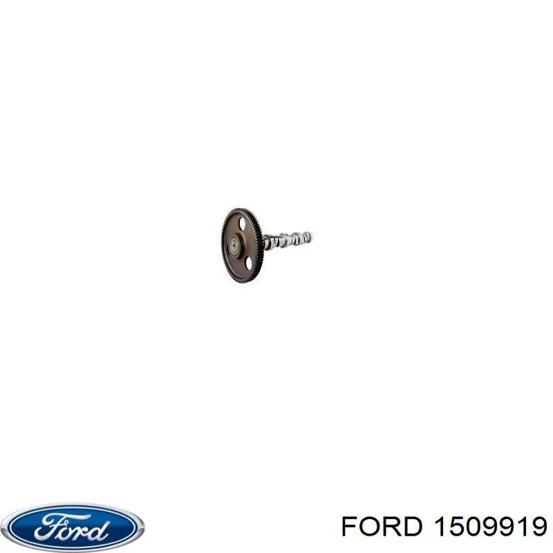 1509919 Ford