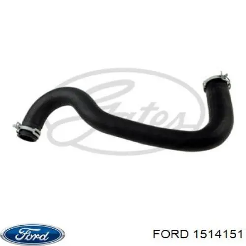 1514151 Ford manguera refrigerante para radiador inferiora