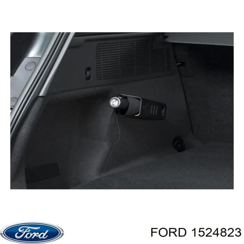 1524823 Ford