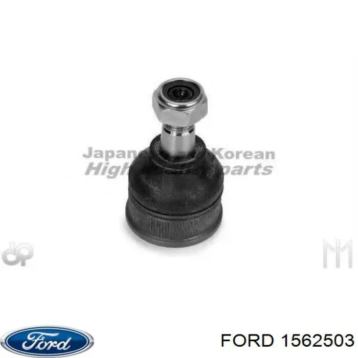 1562503 Ford rodillo, cadena de distribución