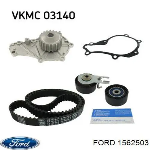 Tensor de la correa de distribución Ford 1562503 precio, desde 20,99 EUR