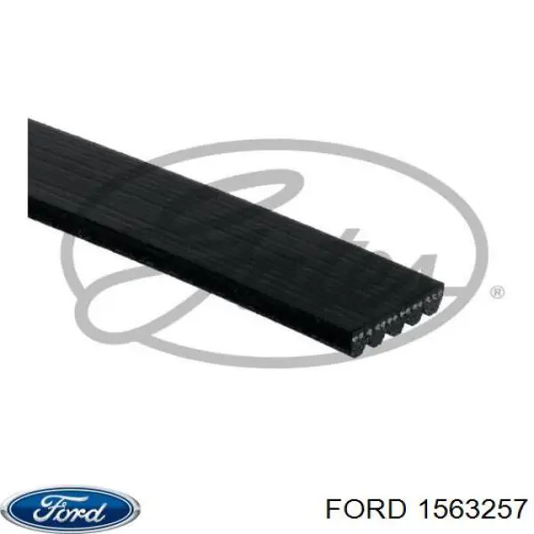 Correa de alternador 1563257 Ford