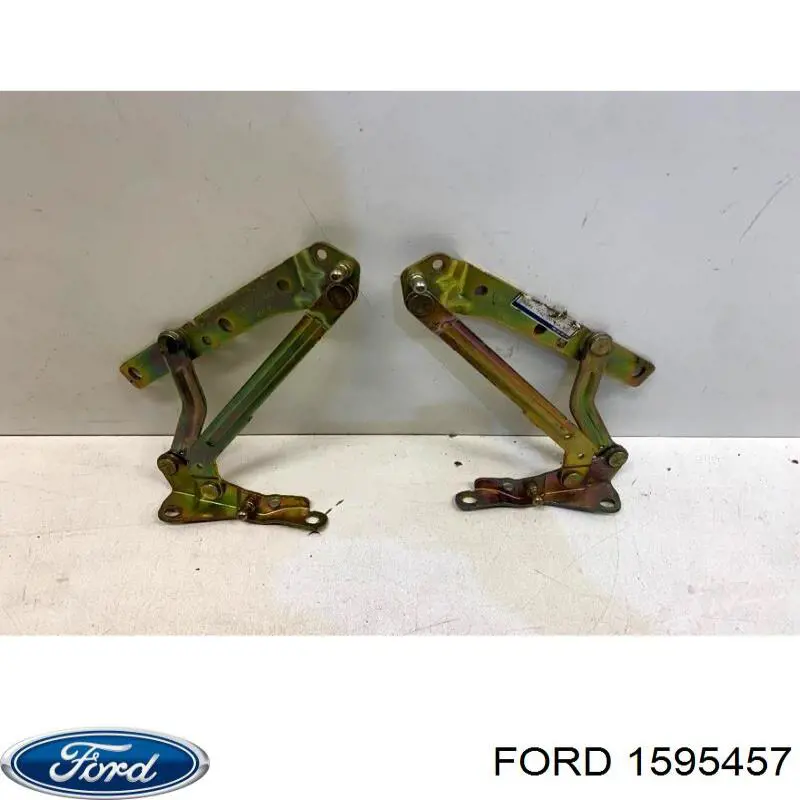 Conjunto de bisagra, puerta del maletero para Ford Focus (DA)