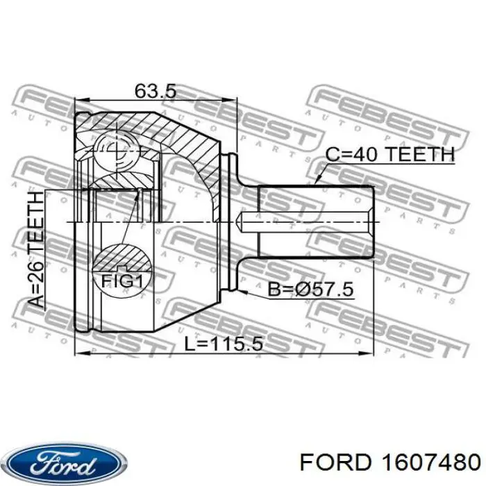 1607480 Ford junta homocinética exterior delantera