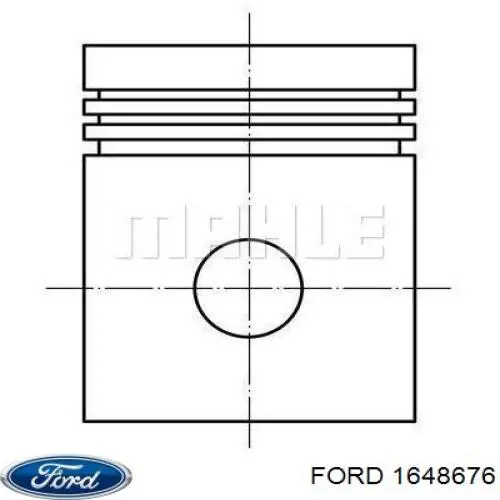 1648676 Ford puerta delantera derecha