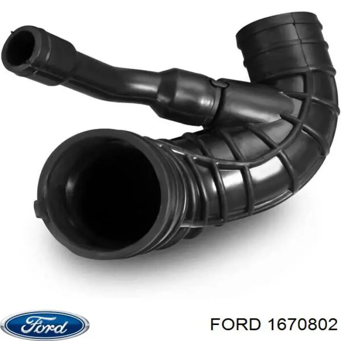 1670802 Ford manguito, alimentación de aire