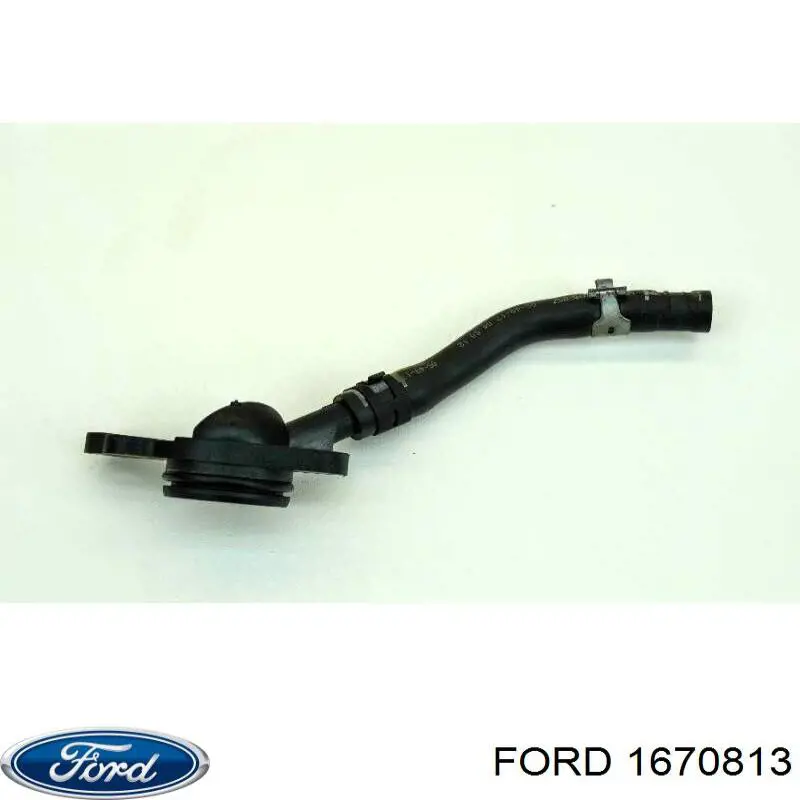 1670813 Ford Manguera del intercooler