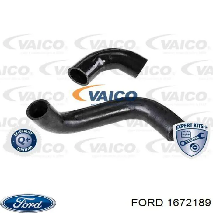 1672189 Ford Manguera del intercooler