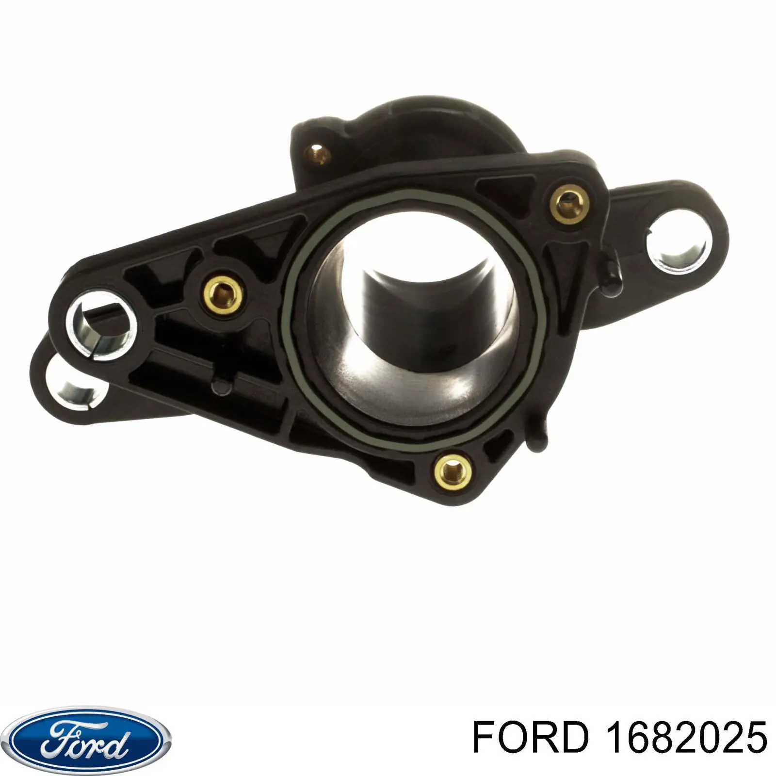 Tubo flexible de aspiración, cuerpo mariposa para Ford Focus (CA5)