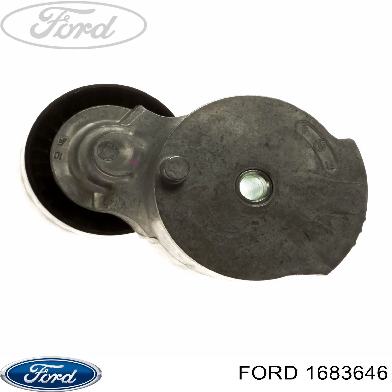 1683646 Ford tensor de correa, correa poli v