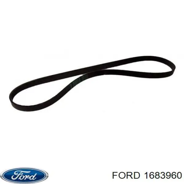 Correa accesorios Ford 1683960