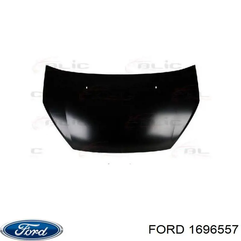 1696557 Ford