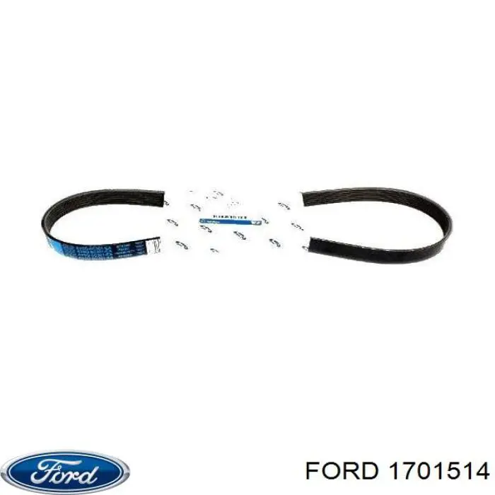 Correa de alternador 1701514 Ford