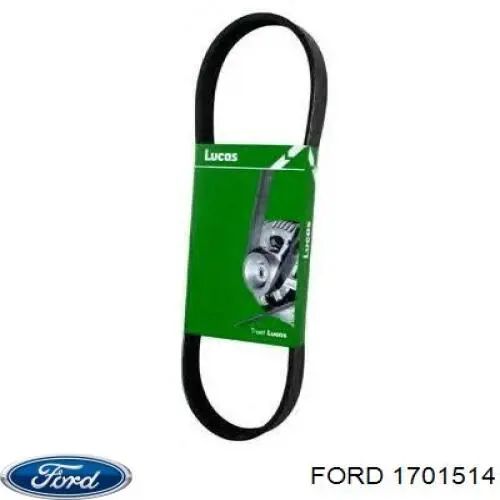 Correa de transmisión trapezoidal Ford 1701514 precio, desde 10,33 EUR