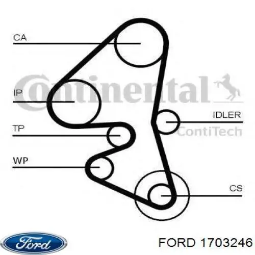 1703246 Ford correa distribucion