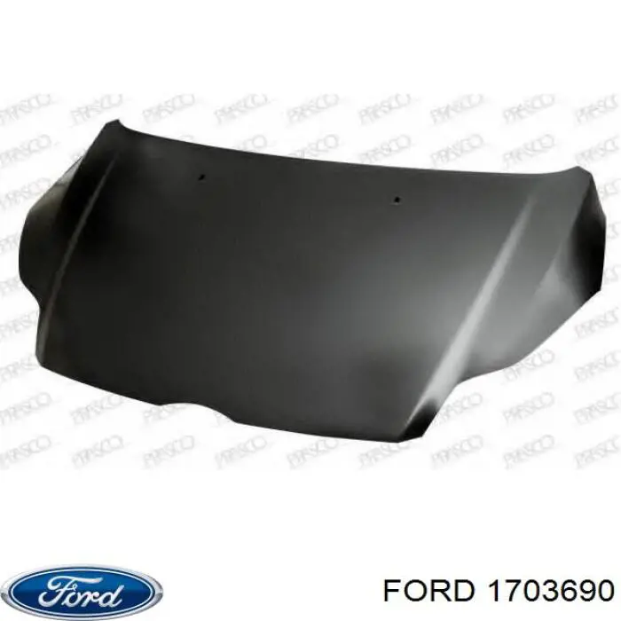 1703690 Ford capó