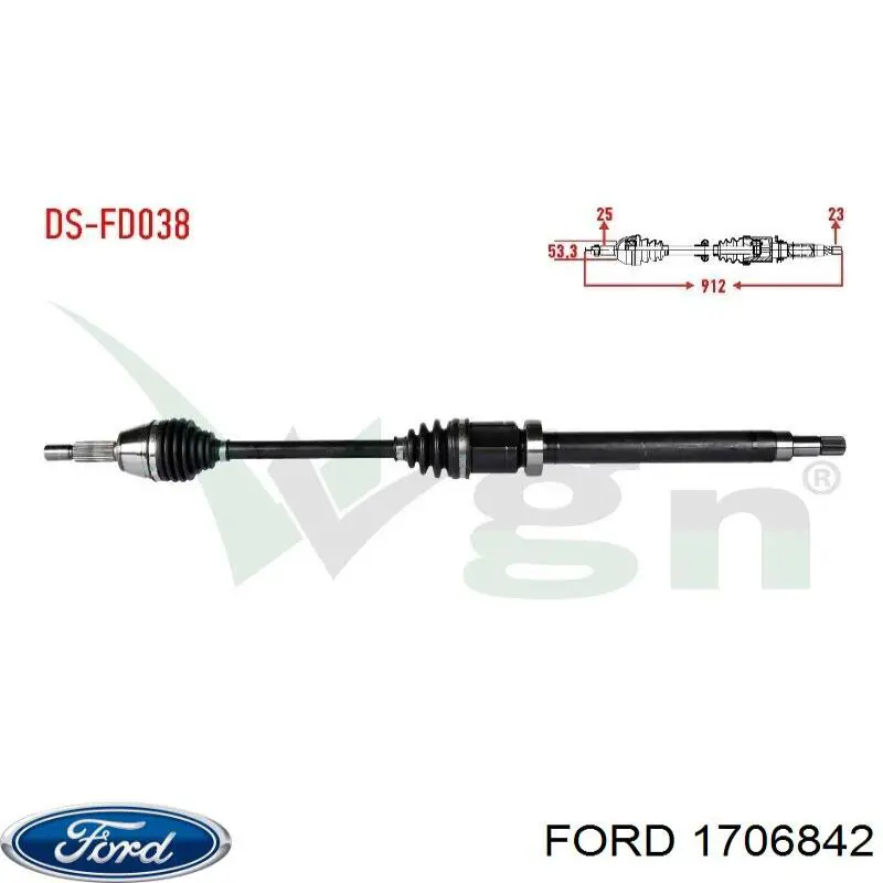 1706842 Ford manguera refrigerante para radiador inferiora