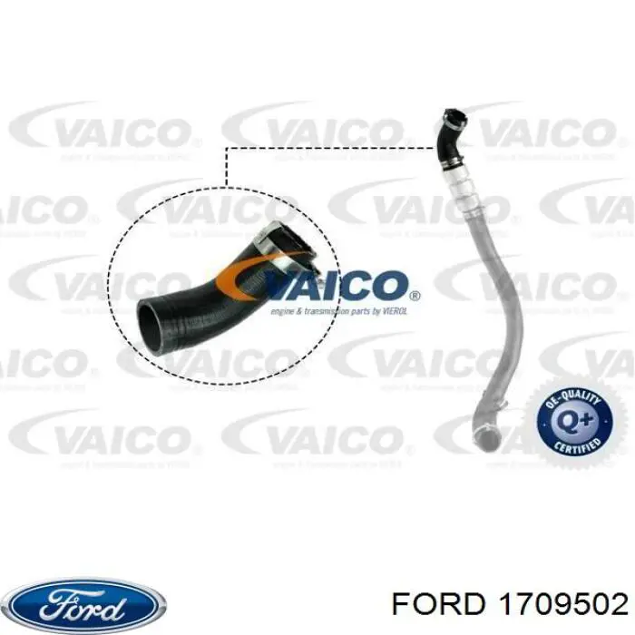 Tubo intercooler 1709502 Ford