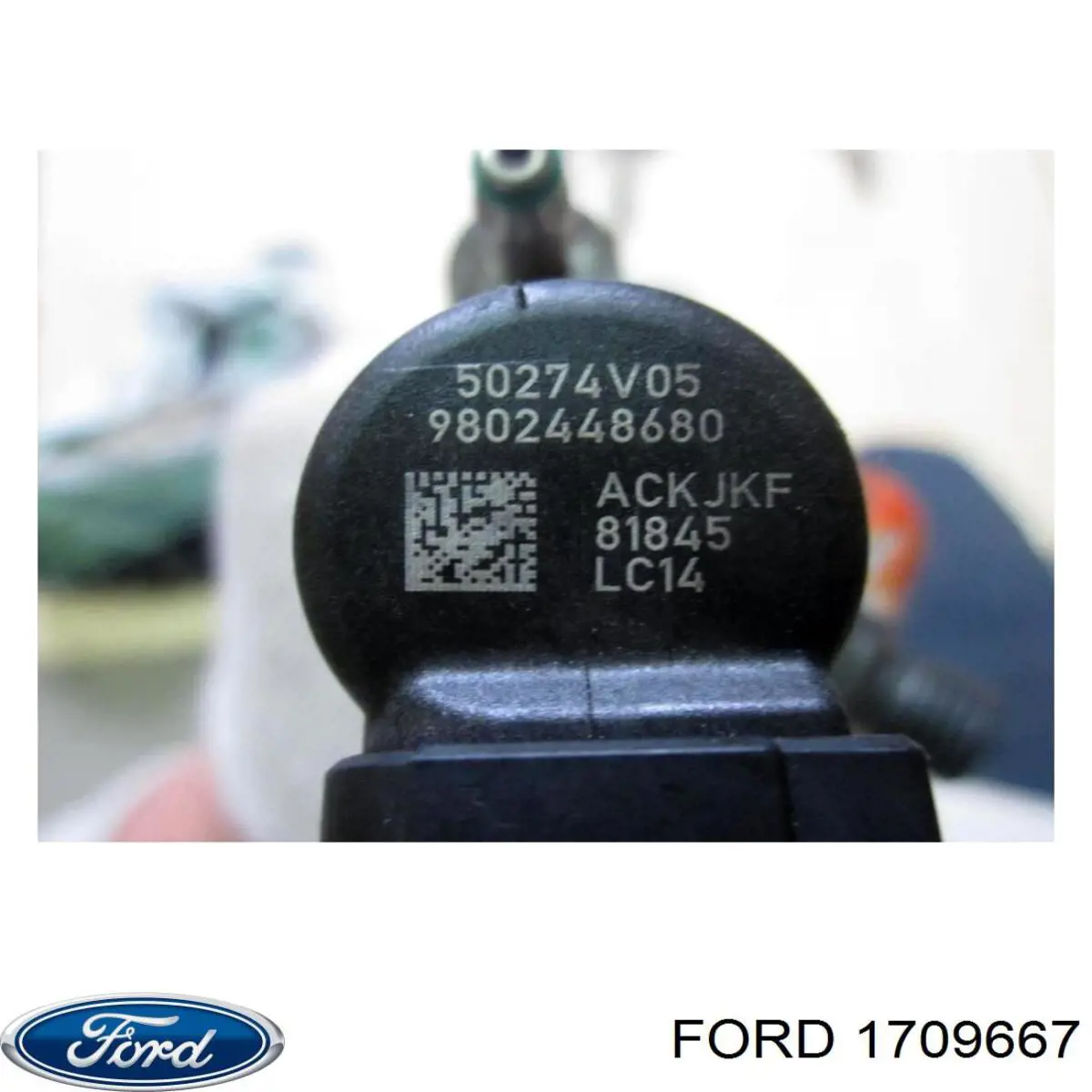1709667 Ford inyector