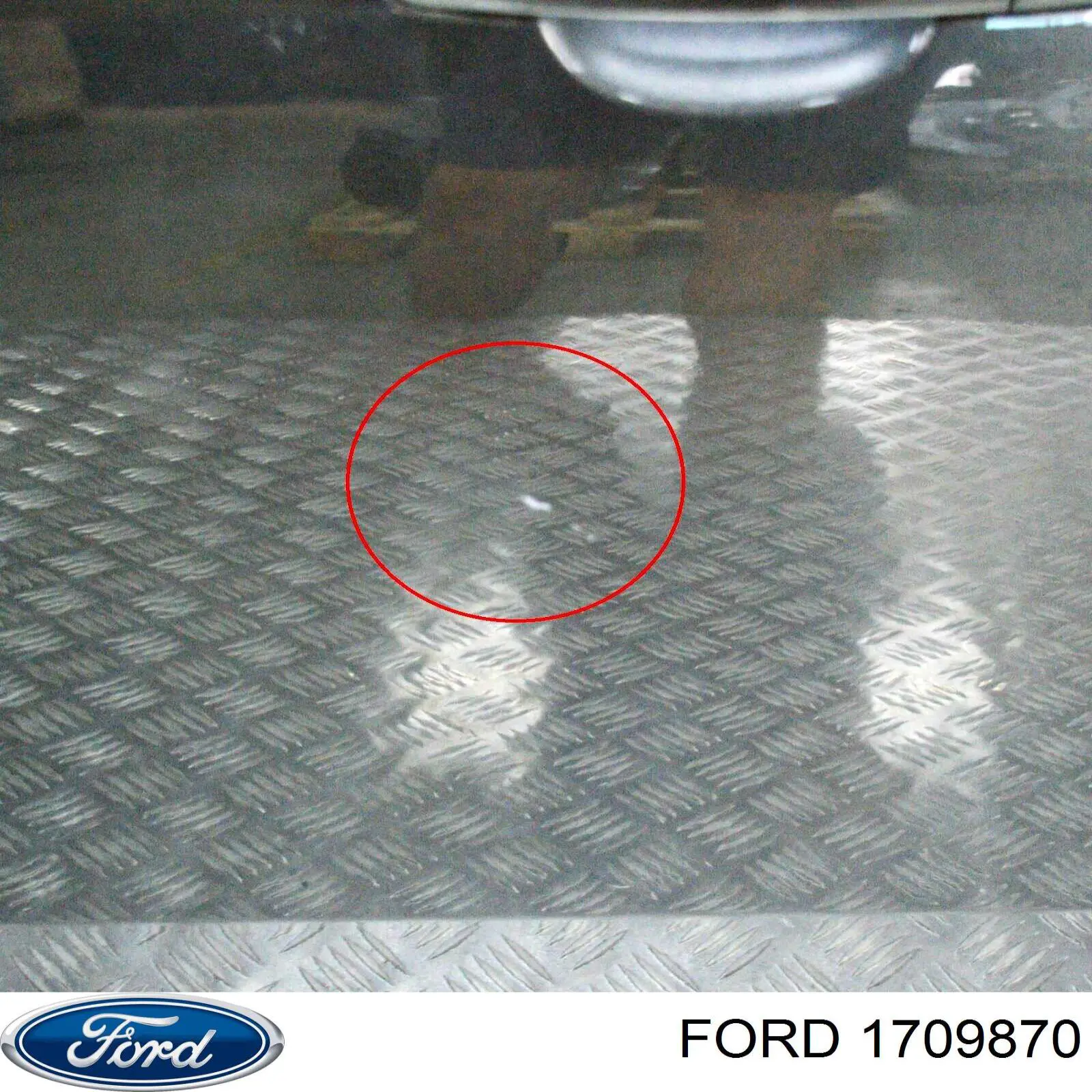 1709870 Ford