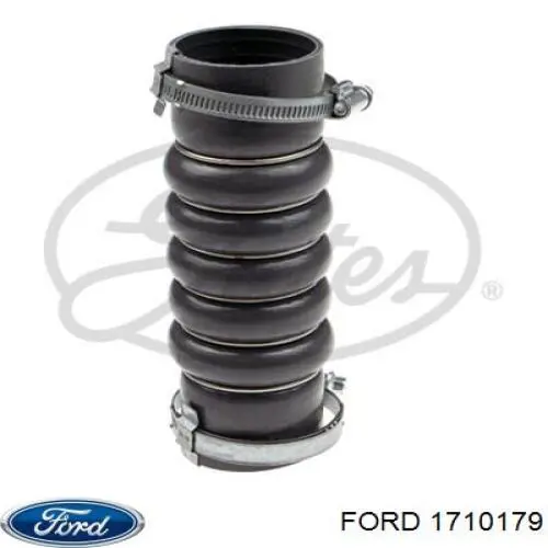 1697386 Ford tubo intercooler