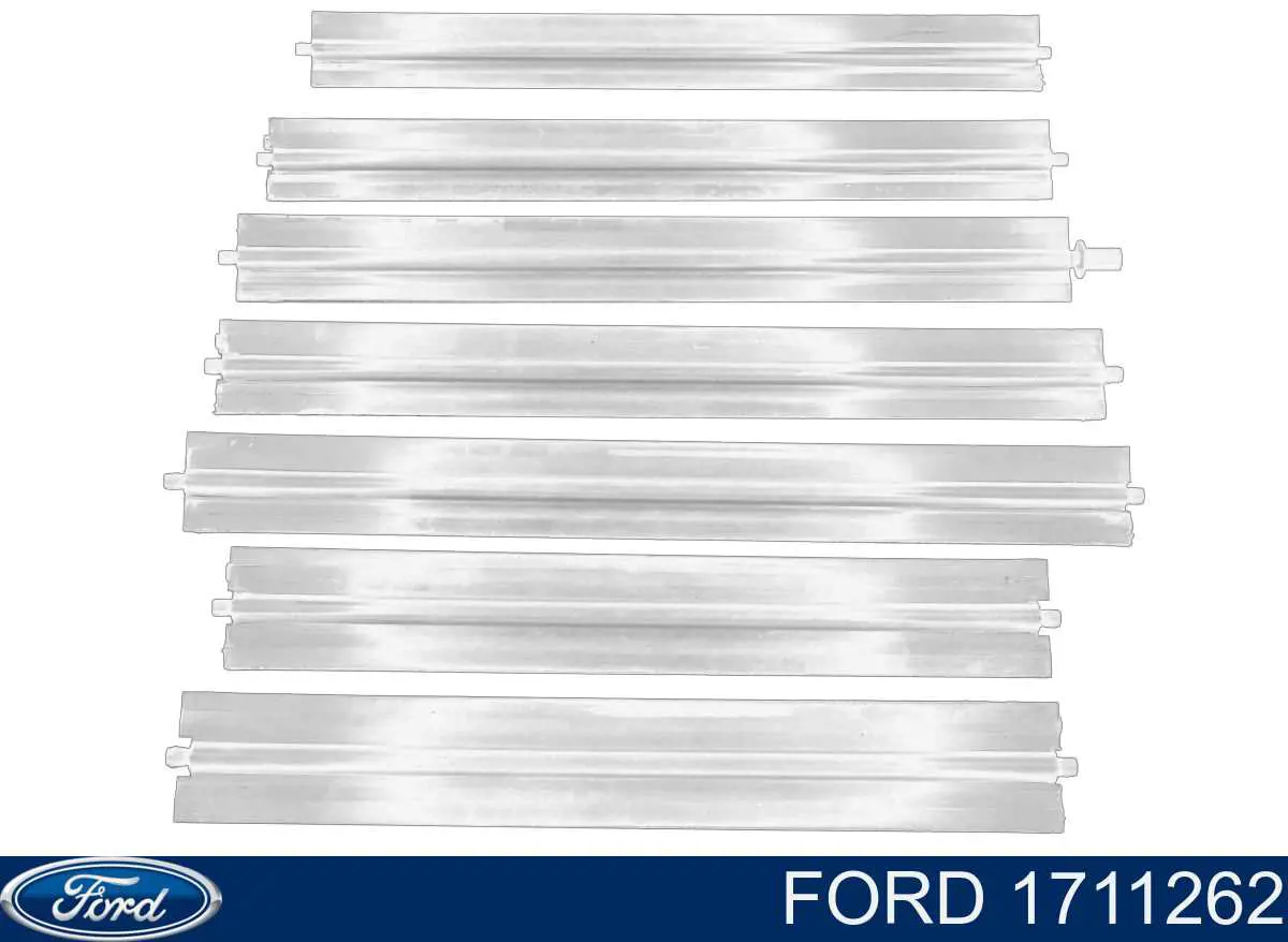 Persiana Parcializadora De Radiador Ford Mondeo 4 (CA2)