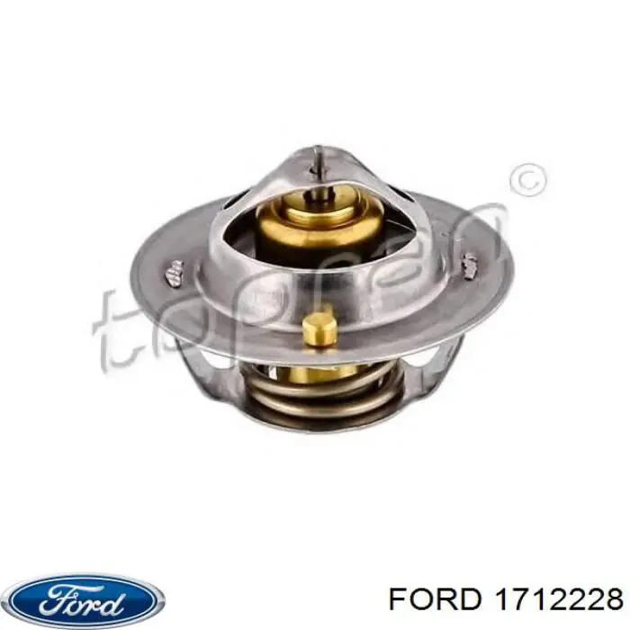 Termostato Ford 1712228 precio, desde 9,85 EUR