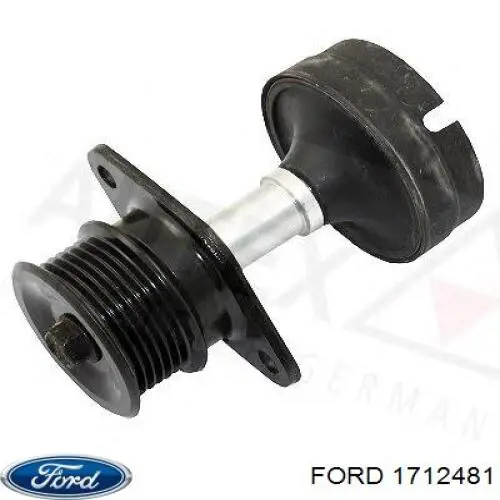 1712481 Ford