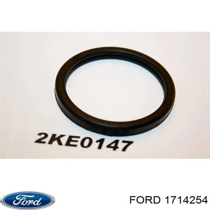1714254 Ford junta, termostato