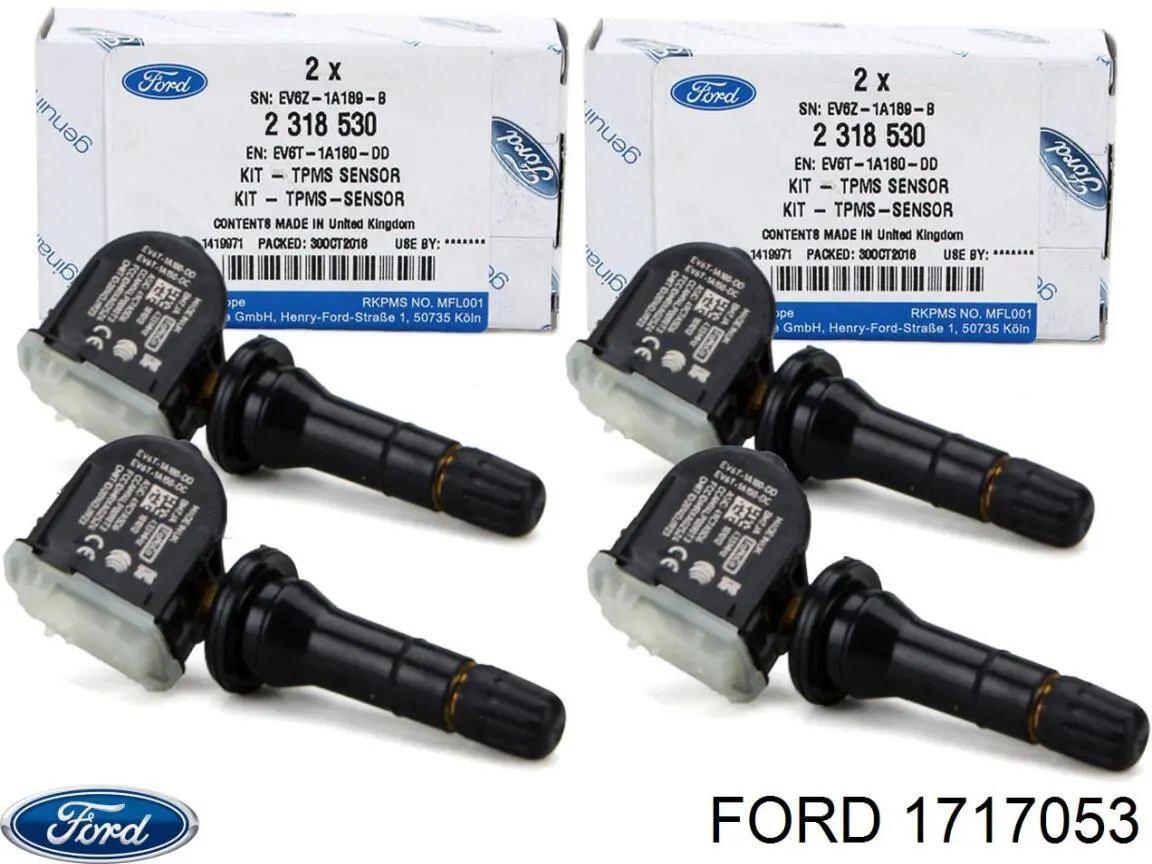 Botella expansion Ford 1717053 precio, desde 11,74 EUR