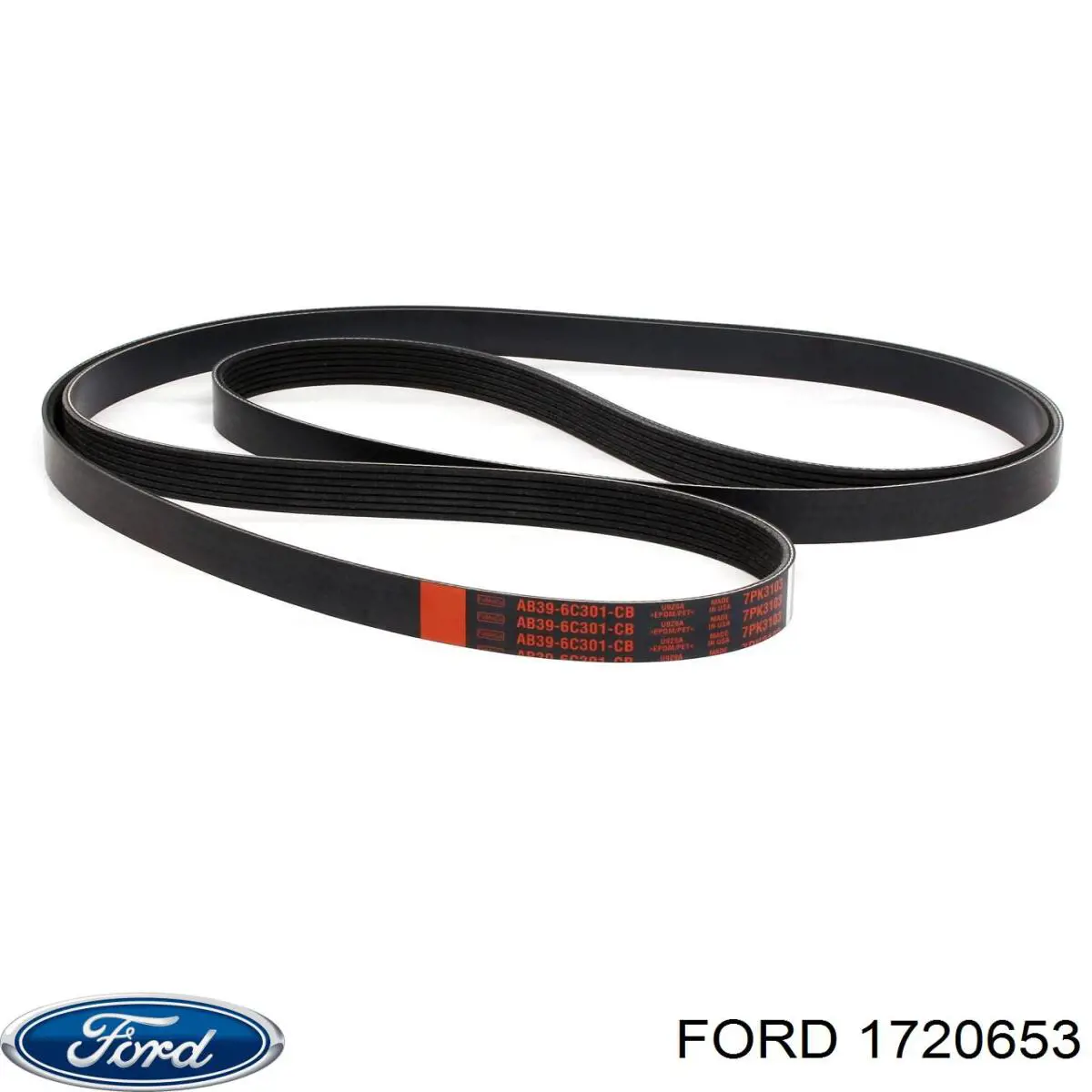 1720653 Ford Correa poly v