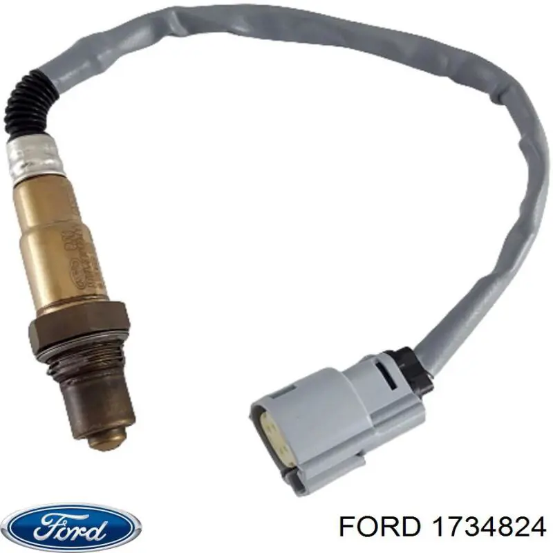 1734824 Ford