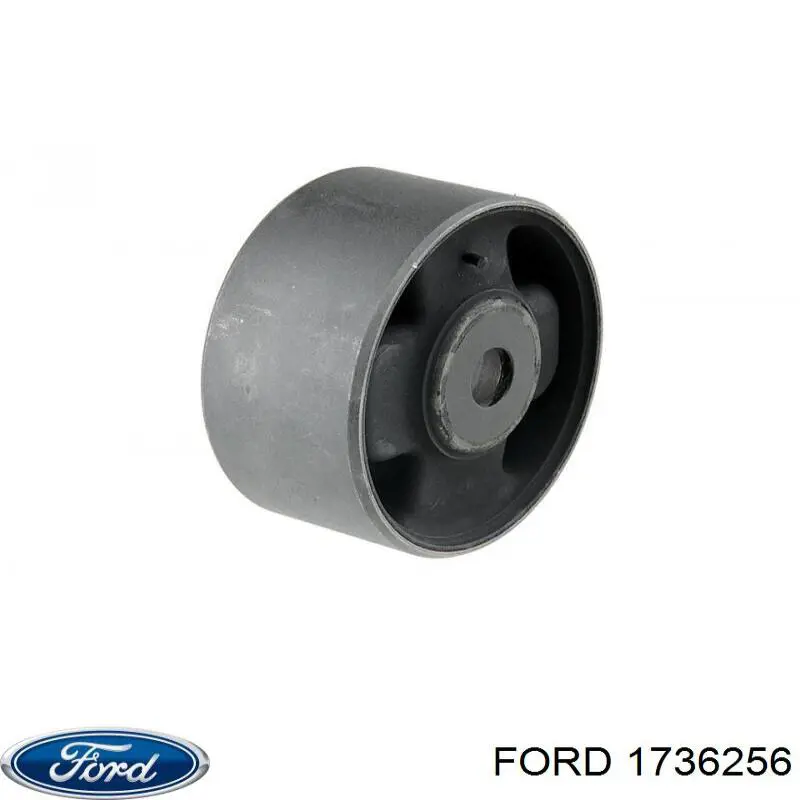 1736261 Ford parabrisas