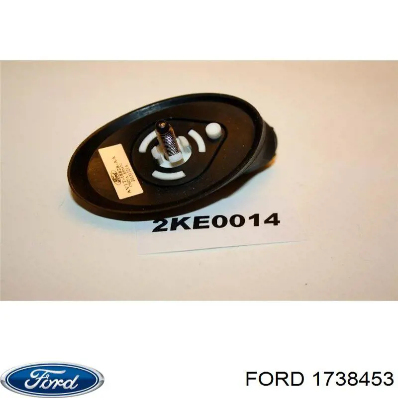 1738453 Ford antena