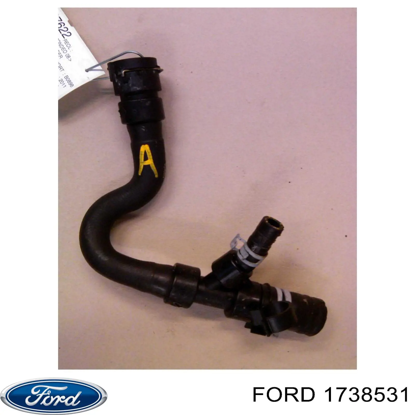 1738531 Ford