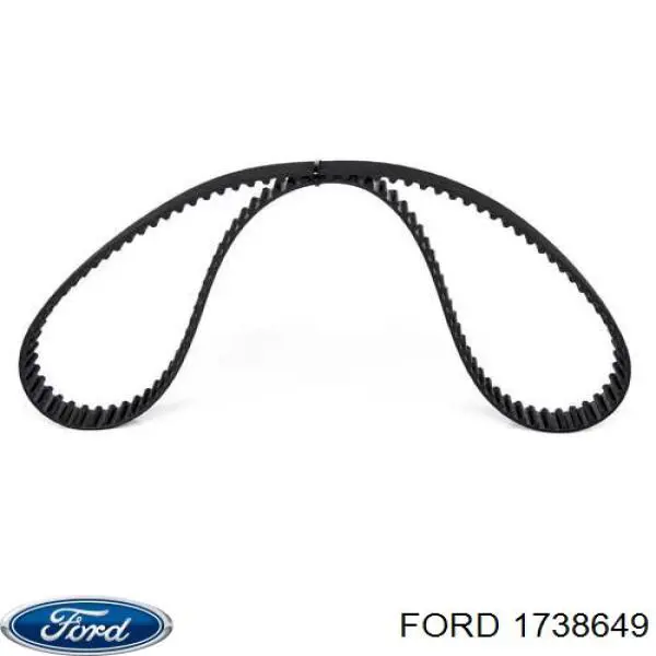 Correa distribución AV2Q6K288BA Ford