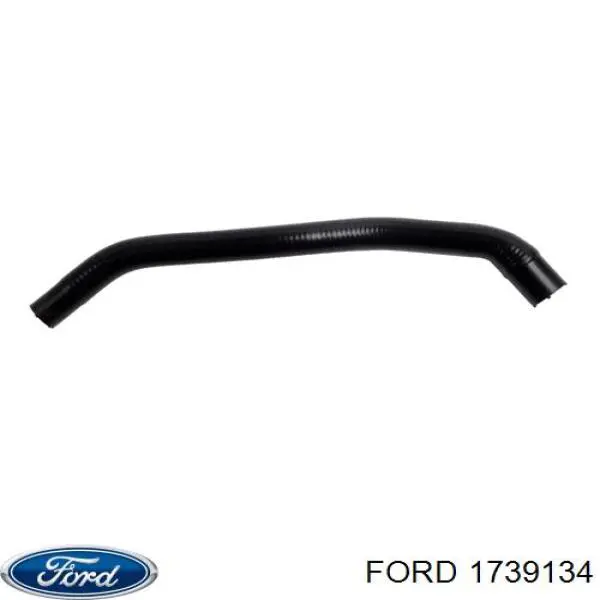 1755489 Ford