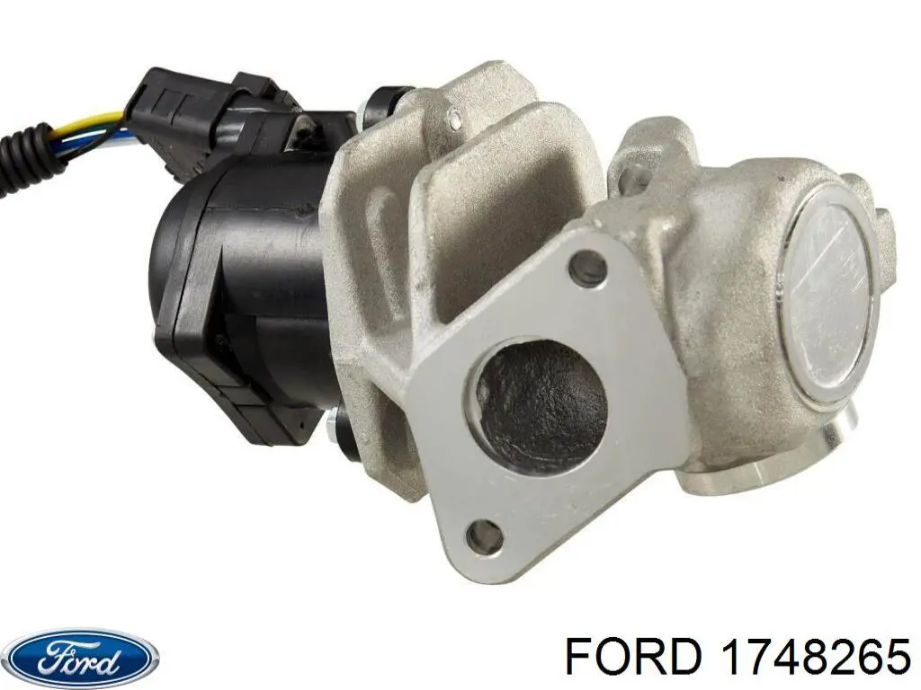 1748265 Ford Válvula EGR